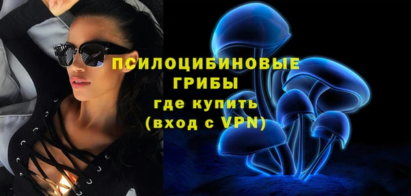 mdpv Арсеньев