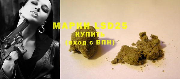 индика Армянск