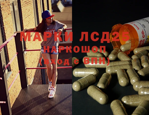 индика Армянск