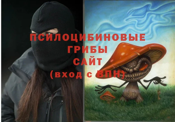 mdpv Арсеньев