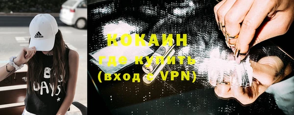 индика Армянск
