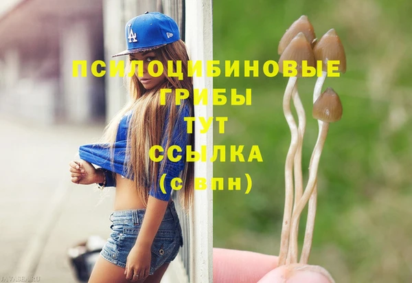 mdpv Арсеньев
