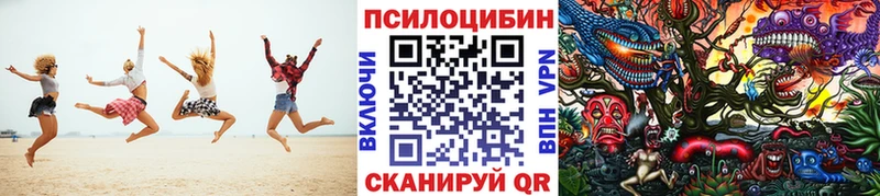 дарк нет телеграм  что такое наркотик  mega сайт  Полесск  Псилоцибиновые грибы мицелий 